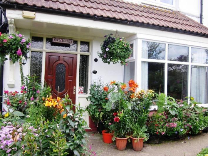 Beechlands B & B Sleights Extérieur photo