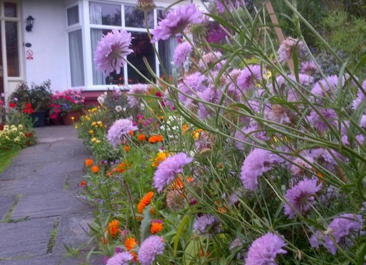Beechlands B & B Sleights Extérieur photo